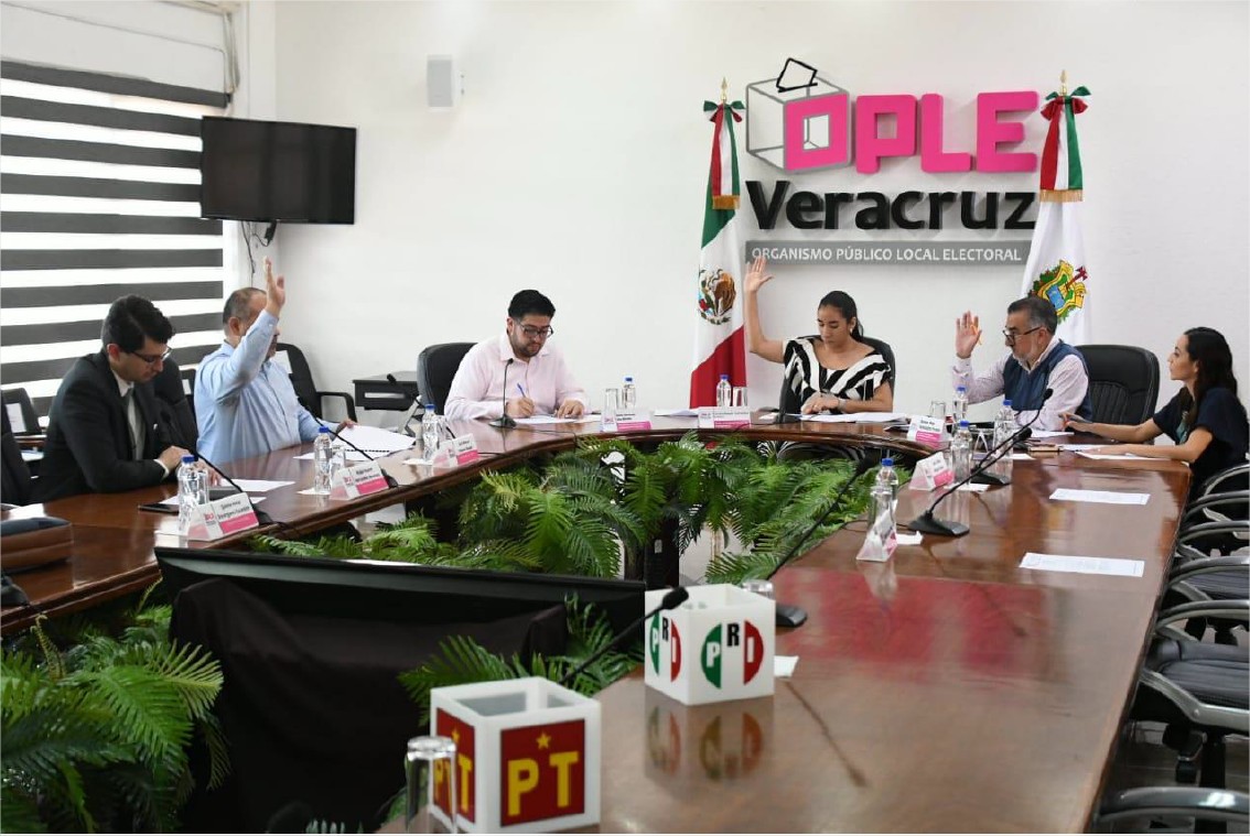 El grupo de trabajo de transparencia y protección de datos personales del OPLE Veracruz, aprueba Lineamientos de Operación y el Programa Anual de Trabajo 2019